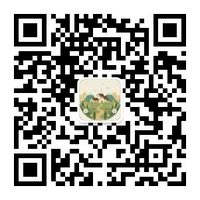 微信公众号二维码